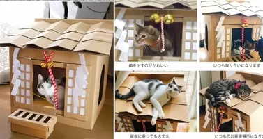猫のために獣医さんが手作りダンボールハウスを作った キュートな写真いろいろ 17年11月日 エキサイトニュース