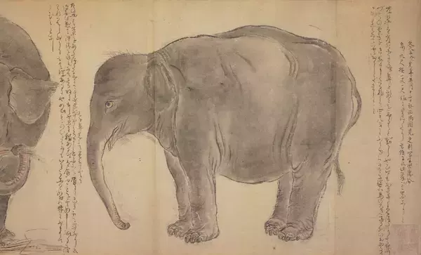 「江戸に異国の動物がやって来た！大フィーバー起こしたゾウと尿が薬とまで謳われたラクダ」の画像