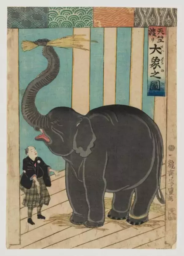 「江戸に異国の動物がやって来た！大フィーバー起こしたゾウと尿が薬とまで謳われたラクダ」の画像