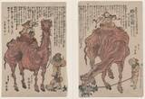 「江戸に異国の動物がやって来た！大フィーバー起こしたゾウと尿が薬とまで謳われたラクダ」の画像4