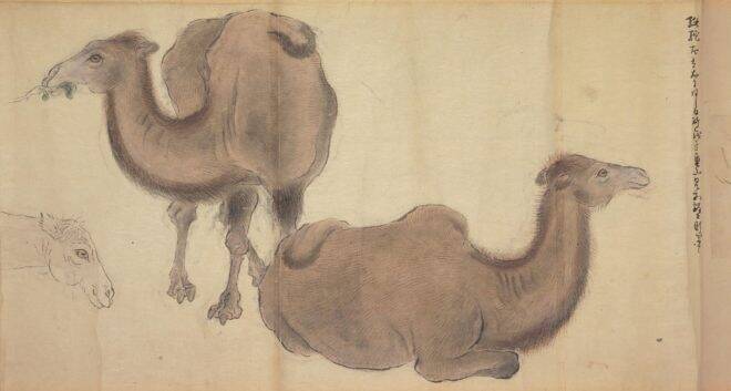 江戸に異国の動物がやって来た！大フィーバー起こしたゾウと尿が薬とまで謳われたラクダ