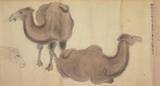 「江戸に異国の動物がやって来た！大フィーバー起こしたゾウと尿が薬とまで謳われたラクダ」の画像5
