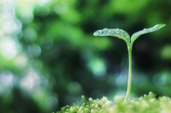 人生100年時代の新たな伝統 21世紀に生まれた65歳の長寿祝いを紹介 21年3月22日 エキサイトニュース