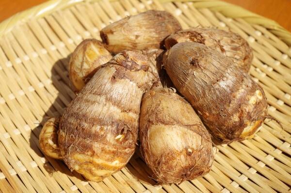 十五夜も十三夜も正月もサトイモ 日本では古くから神聖な食材とされてきた 里芋 の歴史 21年7月12日 エキサイトニュース