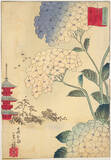 「若冲、国貞、広重…今が旬の「紫陽花」を描いた日本画・浮世絵作品を紹介」の画像5
