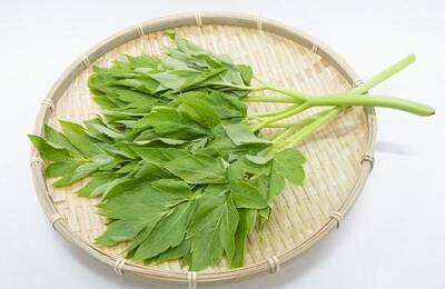 関ヶ原の戦いで敗れた宇喜多秀家が誰よりも長生きできたのは、島流しのお陰？