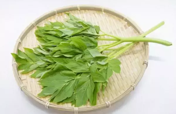 「関ヶ原の戦いで敗れた宇喜多秀家が誰よりも長生きできたのは、島流しのお陰？」の画像