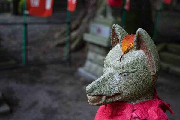 かつてお稲荷さんには ネズミの油揚げ を供えていた 日本人の食とキツネの関係 21年7月28日 エキサイトニュース