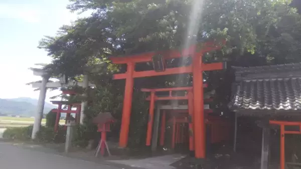 「かつてお稲荷さんには「ネズミの油揚げ」を供えていた！？日本人の食とキツネの関係」の画像