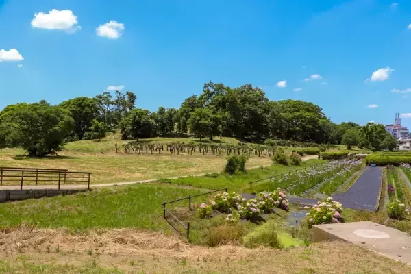 「巨大化して大流行！古代日本を象徴する「古墳」は庶民のステータスとして変化していった？」の画像