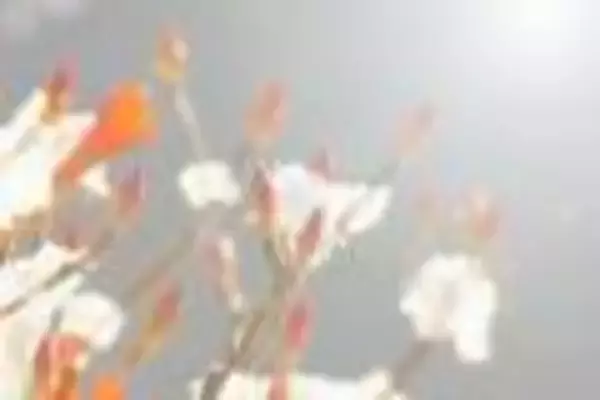 「神が消えてしまうなんだか不吉な10月の旧称「神無月」。でも安心、留守番役にはあの人が！」の画像