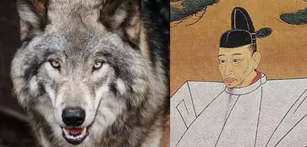 「戦国時代のUMA？秀吉の大軍にただ一頭で立ち向かった羽犬伝説を紹介！」の画像