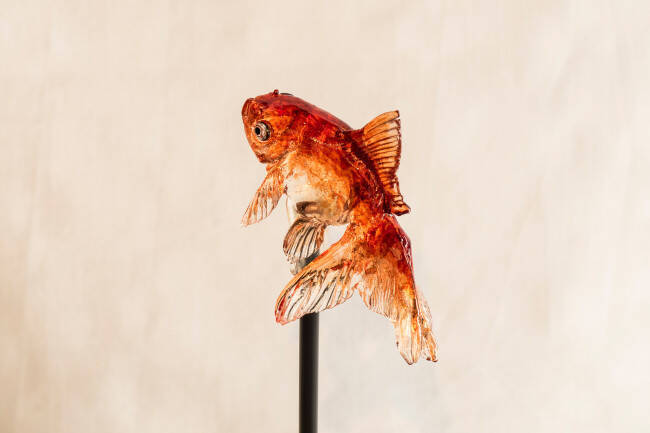 金魚の飴細工でおなじみのアメシンがソラマチ店をオープン 限定商品うちわ飴が素敵 15年8月10日 エキサイトニュース