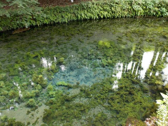 どれも息を呑む美しさ 口コミで選ぶ 日本の湧水 名水ランキング が公開されました 15年8月21日 エキサイトニュース