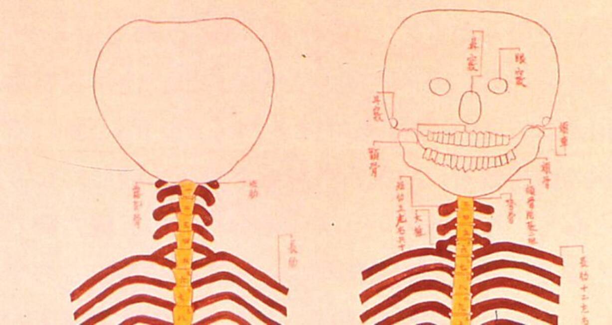 ちょっぴり可愛い 江戸時代に医師が描いた人骨の仕組みの図が愛嬌アリ 15年9月16日 エキサイトニュース