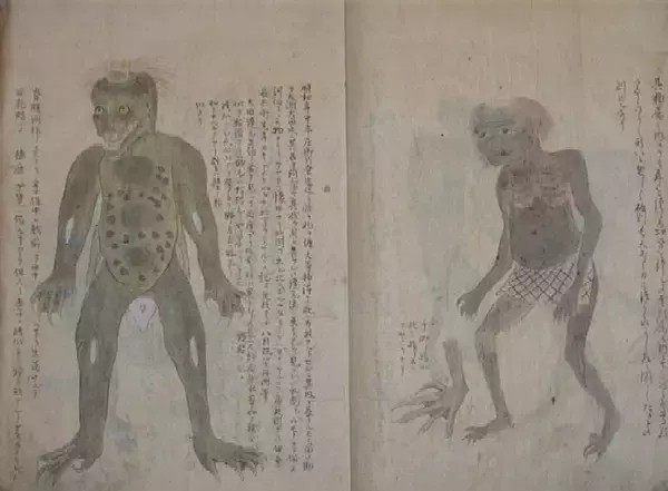 「これ完全にホラー！河童を本当に信じてた江戸時代に描かれた「水虎十二品之図」の不気味さよ」の画像