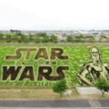 「これが本家の実力か！元祖 田んぼアートの村・田舎館村の作品、今年もクオリティ高すぎ！」の画像2