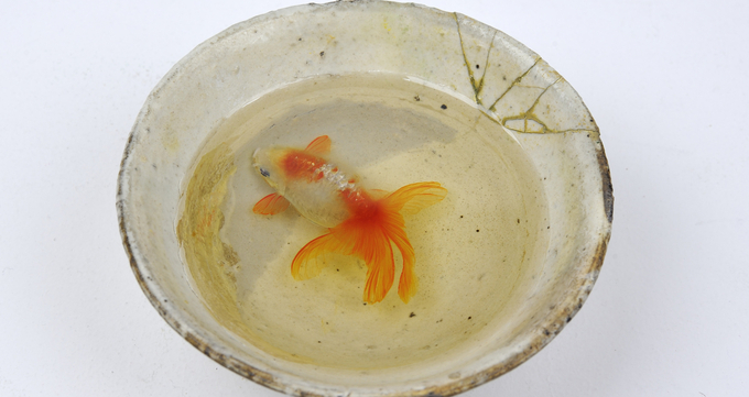えっこれ実物じゃないの 超リアル 金魚絵師 のアート展がヤバい 公開制作あり 16年5月16日 エキサイトニュース