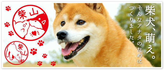 いろんな柴犬種類 自分の名前入れて銀行印にもok 柴犬の印鑑 しばずかん 16年12月27日 エキサイトニュース