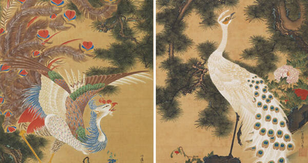 2ヶ月限定 年ぶりに発見 伊藤若冲の幻の作品 孔雀鳳凰図 が再公開へ 17年1月7日 エキサイトニュース