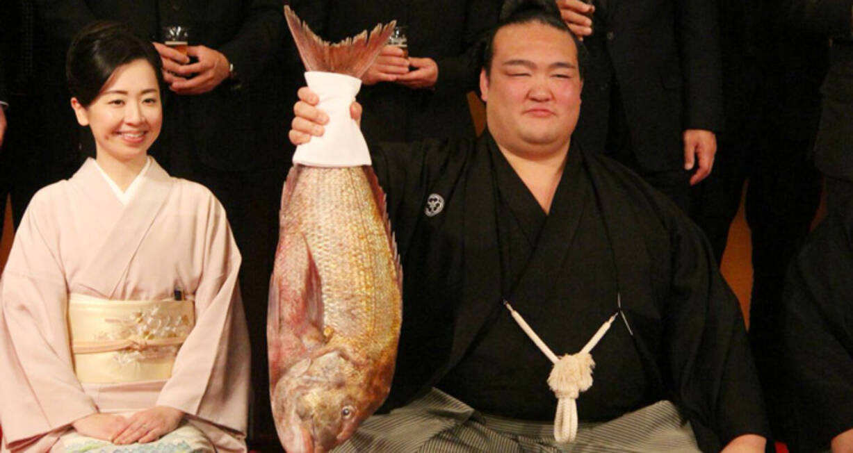 稀 勢 の 里 の 奥さん