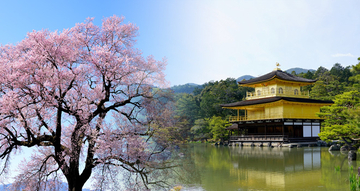 大道具仕掛けも見もの！桜の季節に見たい歌舞伎「金閣寺」はディズニーもびっくりのファンタジー