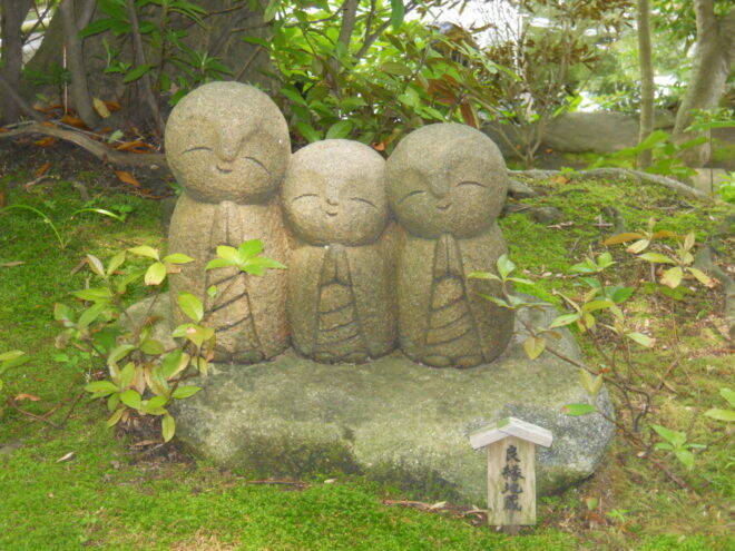 i=https%3A%2F%2Fs.eximg.jp% 