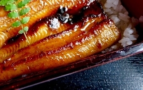 もうすぐ土用の丑の日！東京都内で食べれる江戸時代創業の老舗うなぎ屋3選