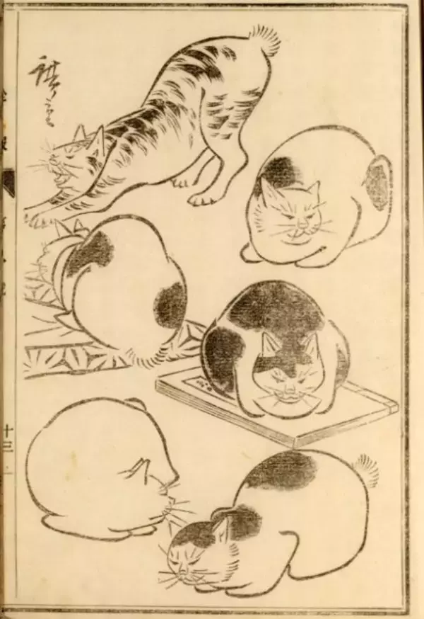「可愛い猫ちゃん大集合！三代 歌川広重が描いた「百猫画譜」の猫づくしに胸キュン♪」の画像