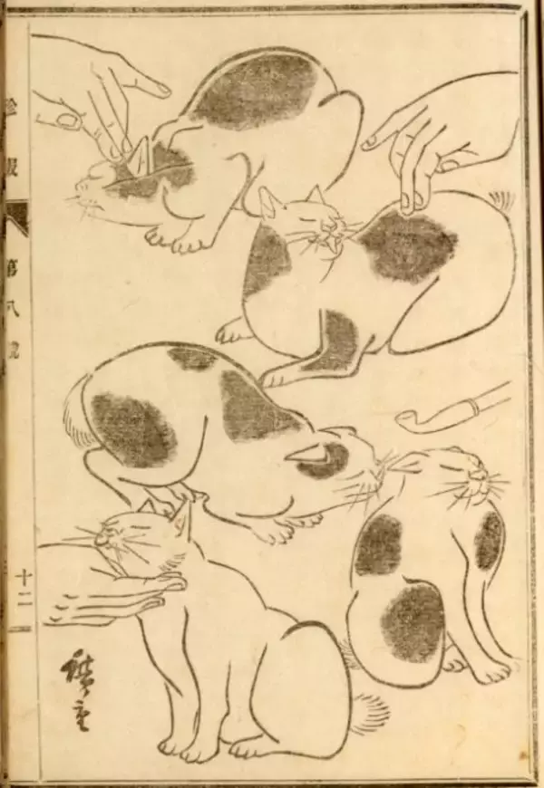 「可愛い猫ちゃん大集合！三代 歌川広重が描いた「百猫画譜」の猫づくしに胸キュン♪」の画像