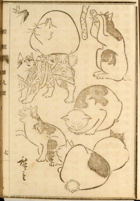可愛い猫ちゃん大集合！三代 歌川広重が描いた「百猫画譜」の猫づくしに胸キュン♪