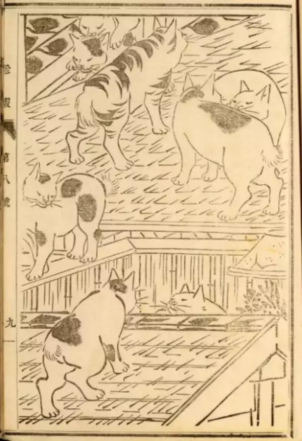 「可愛い猫ちゃん大集合！三代 歌川広重が描いた「百猫画譜」の猫づくしに胸キュン♪」の画像