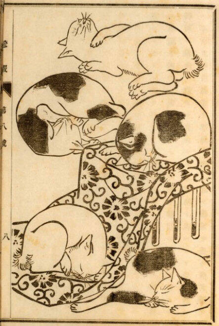 可愛い猫ちゃん大集合！三代 歌川広重が描いた「百猫画譜」の猫づくしに胸キュン♪