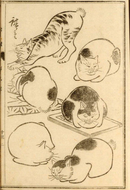 可愛い猫ちゃん大集合！三代 歌川広重が描いた「百猫画譜」の猫づくしに胸キュン♪