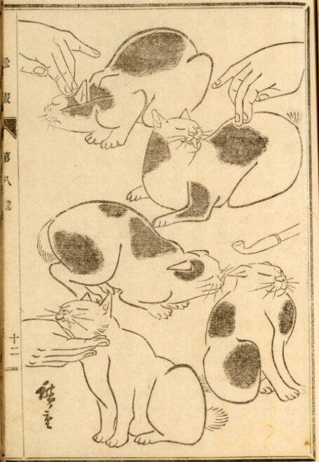 可愛い猫ちゃん大集合！三代 歌川広重が描いた「百猫画譜」の猫づくしに胸キュン♪
