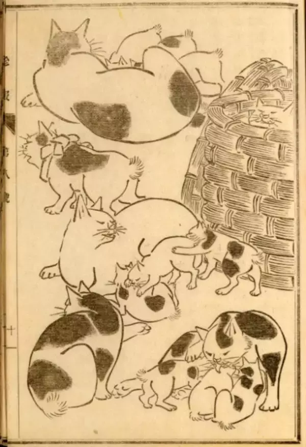 「可愛い猫ちゃん大集合！三代 歌川広重が描いた「百猫画譜」の猫づくしに胸キュン♪」の画像