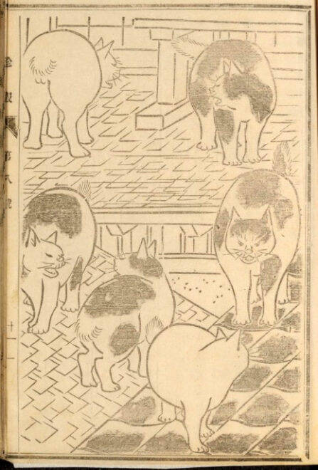 可愛い猫ちゃん大集合 三代 歌川広重が描いた 百猫画譜 の猫づくしに胸キュン 18年7月24日 エキサイトニュース