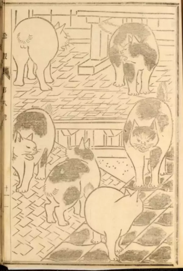 「可愛い猫ちゃん大集合！三代 歌川広重が描いた「百猫画譜」の猫づくしに胸キュン♪」の画像