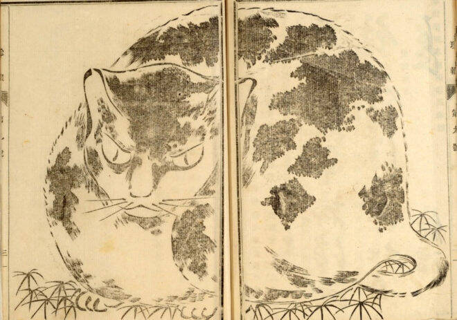 可愛い猫ちゃん大集合！三代 歌川広重が描いた「百猫画譜」の猫づくしに胸キュン♪