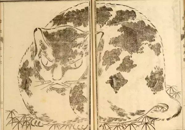 「可愛い猫ちゃん大集合！三代 歌川広重が描いた「百猫画譜」の猫づくしに胸キュン♪」の画像