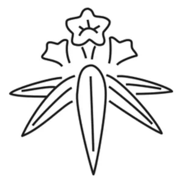 「源頼朝の家紋は「無紋」？頼朝と言えば笹竜胆だけど…。鎌倉武士の家紋文化」の画像