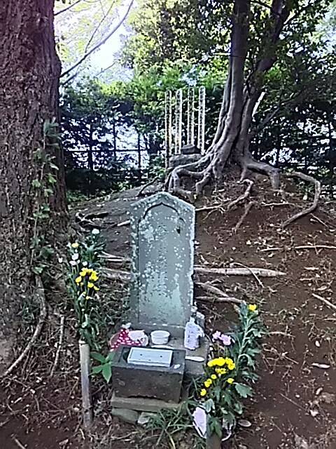 平安時代の悲劇のヒロイン、源頼朝の長女「大姫」その悲恋と貞操の生涯（上）