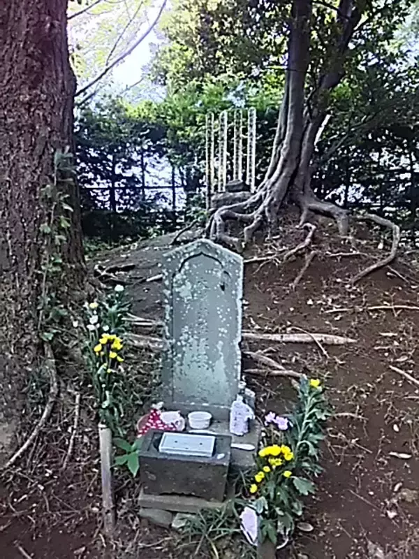 「平安時代の悲劇のヒロイン、源頼朝の長女「大姫」その悲恋と貞操の生涯（上）」の画像