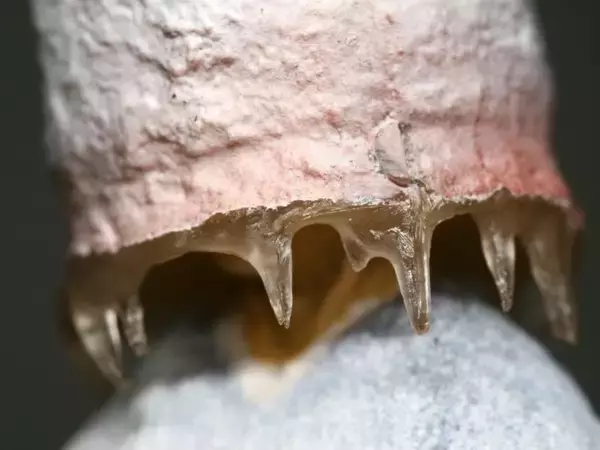 「オモシロすぎでしょ（笑）謎すぎるミニフィギュア「氷河期の僧侶」の想像を超える完成度の高さよ！」の画像