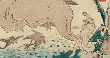 タヌキの金玉はなぜ大きいの？誰がいつ最初に言ったんだ問題を解決（実際は小粒）