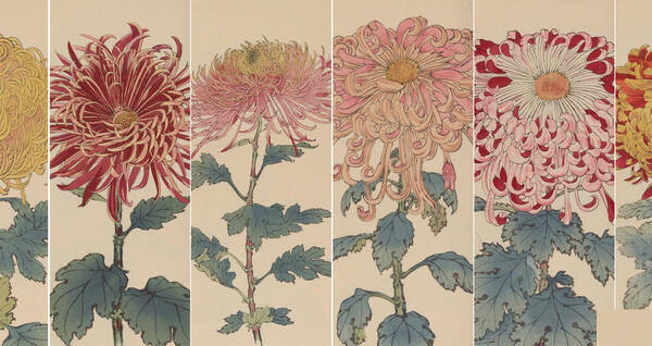 繊細で美しい 日本の国花 菊 の様々な品種を描いた明治時代の木版画 契花百菊 18年11月10日 エキサイトニュース