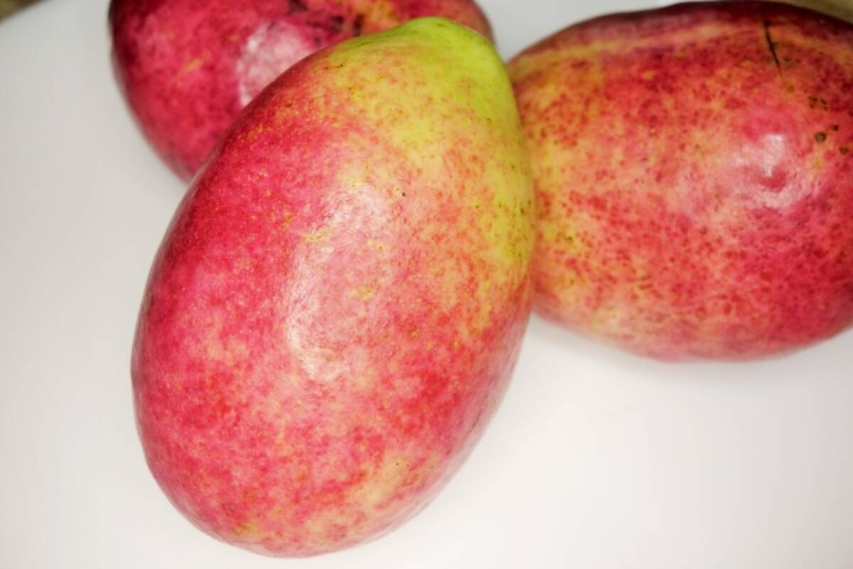 不老長寿の御利益 飛鳥時代から献上されてきた謎すぎる果物 むべ っていったい何 19年2月22日 エキサイトニュース