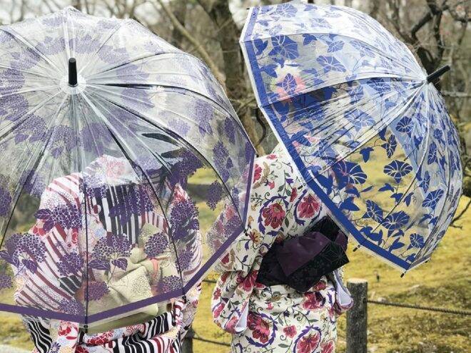 浴衣にもぴったり 紫陽花 金魚 朝顔の和風デザインが素敵な12本骨のビニール傘が新発売 2019年6月7日 エキサイトニュース