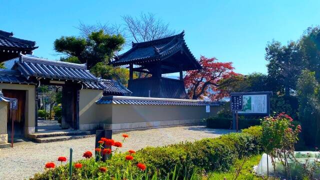 悪逆非道のイメージが強い古代日本の大物政治家・蘇我馬子（そがのうまこ）の活躍と実績