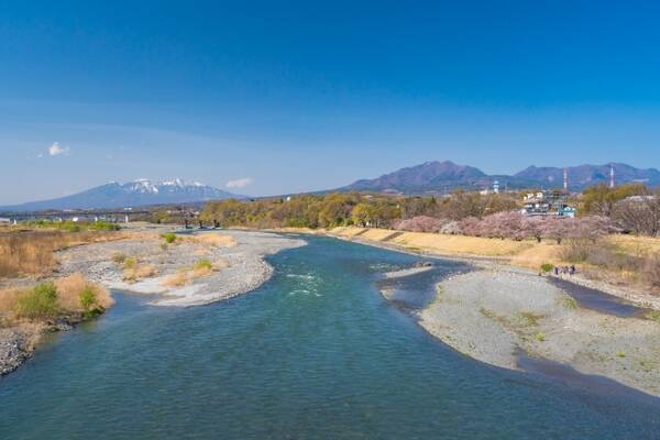 寄生虫が静脈に入り最悪死に至る 甲府盆地で繰り広げられた奇病 日本住血吸虫症 との100年にわたる戦い 22年5月30日 エキサイトニュース